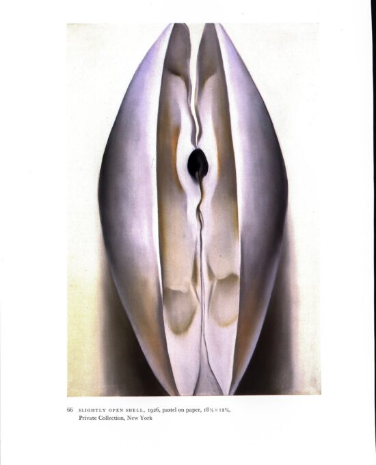 Georgia O’Keeffe vintage art book page [1926] “Clam and Mussel / Slightly Open Shell” For the beach house
