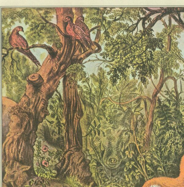 Currier & Ives "The Puzzled Fox" Originally published 1872  15 x 11.5" Fifties vintage art book page - Image 2