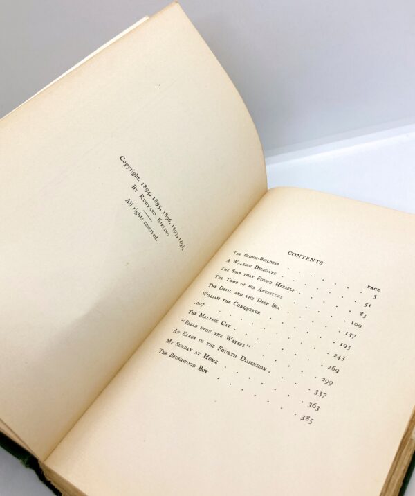 Illustrated Antique Book "The Day's Work" 1898 Rudyard Kipling 13 short stories First edition - Image 7