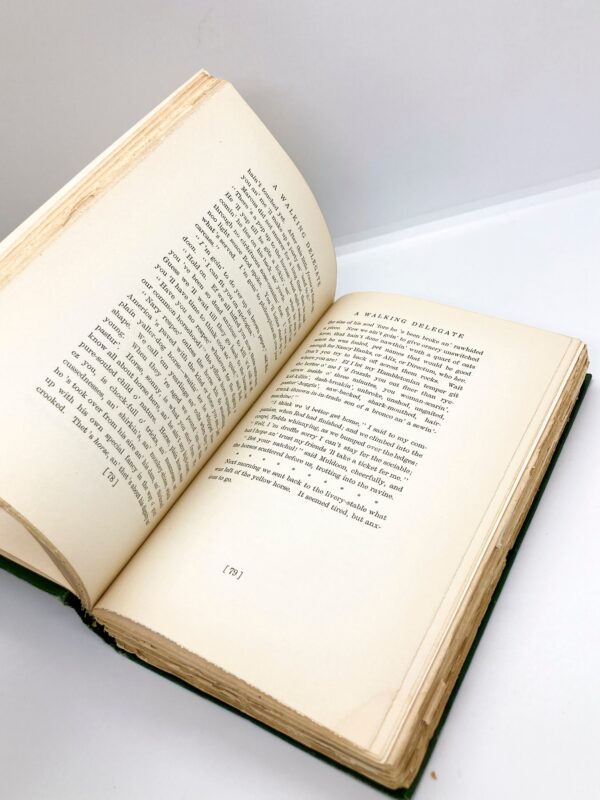 Illustrated Antique Book "The Day's Work" 1898 Rudyard Kipling 13 short stories First edition - Image 8