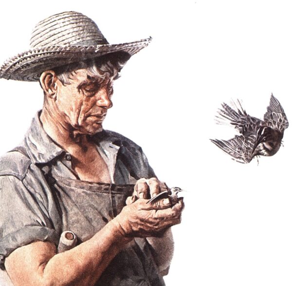 Norman Rockwell "Vacation" & "Farmer and Birds" Oversized 2-sided vintage art book page - Image 3