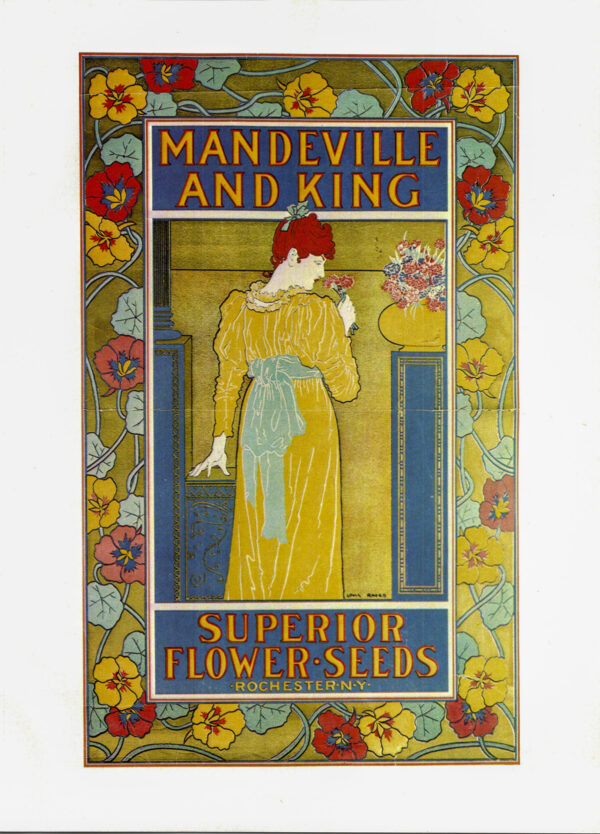 Louis Rhead "Mandeville and King Seeds" Vintage art-book page - Image 2
