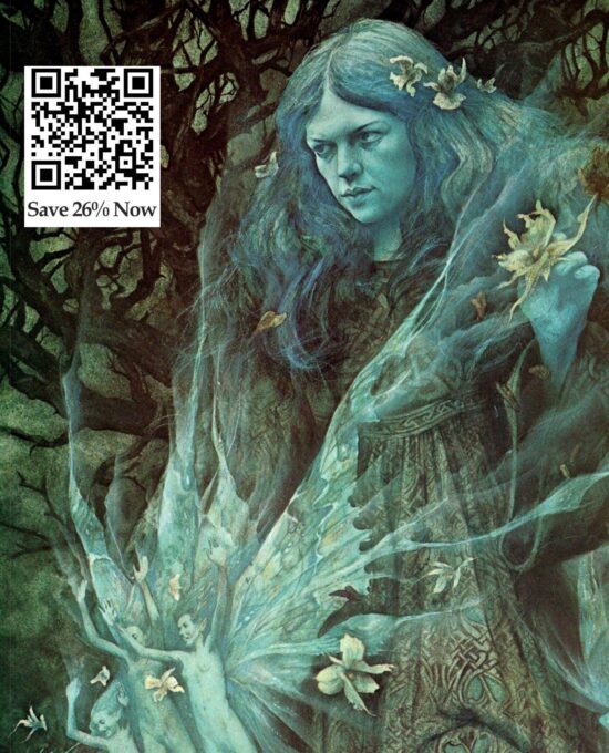 Brian Froud “Twilight” / “Return of the Elfin King” Vintage art book page 1976 FREE SHIPPING