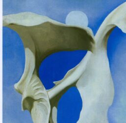 Georgia O'Keeffe print 1943 "Pelvis with Moon" Original over-size vintage art book page