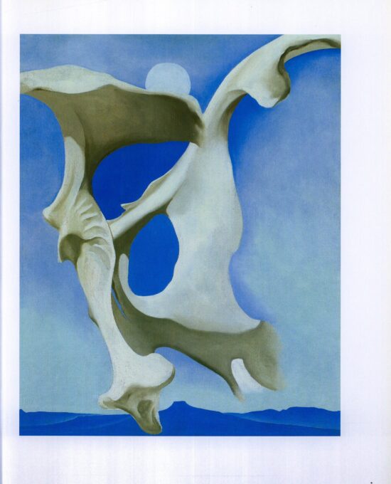 Georgia O’Keeffe print 1943 “Pelvis with Moon” Original over-size vintage art book page