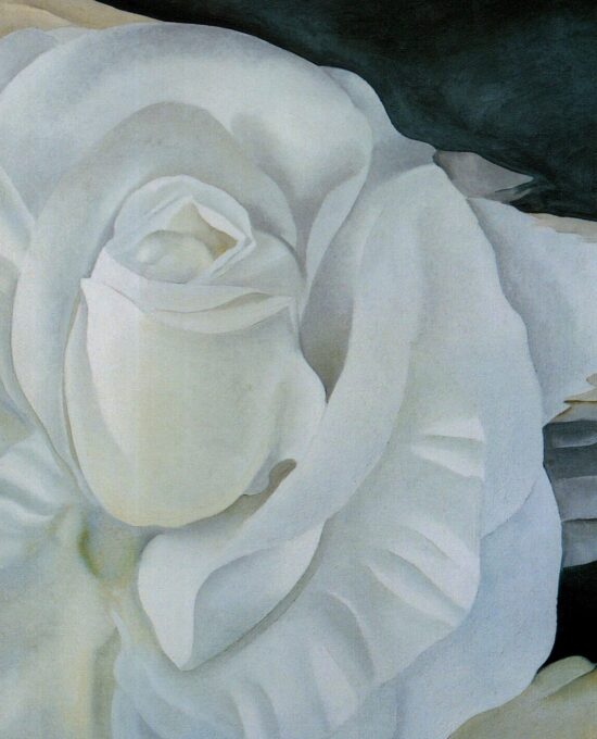 Georgia O’Keeffe print 1930 “White Rose, New Mexico” Original over-size vintage art book page