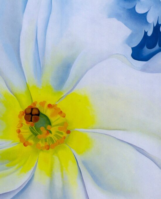 Georgia O’Keeffe print 1929 “White Flower” Original over-size vintage art book page
