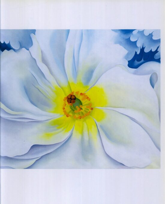 Georgia O’Keeffe print 1929 “White Flower” Original over-size vintage art book page