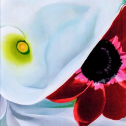 Georgia O'Keeffe print 1928 "Calla Lilies with Red Anemone right panel" Original over-size vintage art book page