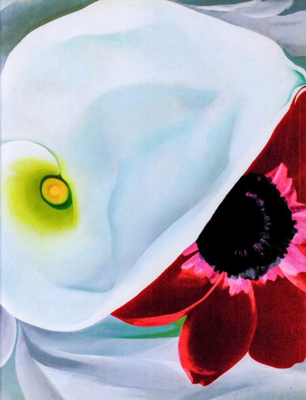 Georgia O'Keeffe print 1928 "Calla Lilies with Red Anemone right panel" Original over-size vintage art book page - Image 2