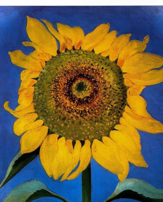 Georgia O’Keeffe 1935″Sunflower, New Mexico” Original vintage color book page