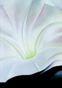 Georgia O'Keeffe print 1926 "Morning-Glory with Black" Original over-size vintage art book page
