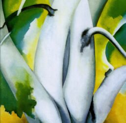 Georgia O'Keeffe print 1926 "White Birch, Lake George" (Adirondacks) Original over-size vintage art book page