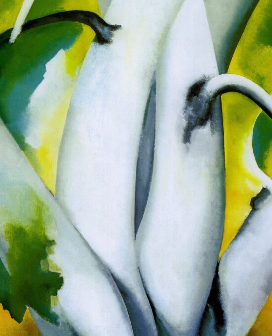 Georgia O’Keeffe print 1926 “White Birch, Lake George” (Adirondacks) Original over-size vintage art book page