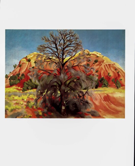 Georgia O’Keeffe print 1945 “Dead Tree with Pink Hill” Original vintage color book print For framing