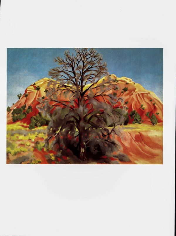 Georgia O'Keeffe print 1945 "Dead Tree with Pink Hill" Original vintage color book print For framing