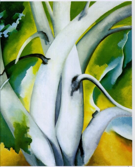 Georgia O’Keeffe print 1926 “White Birch, Lake George” (Adirondacks) Original over-size vintage art book page