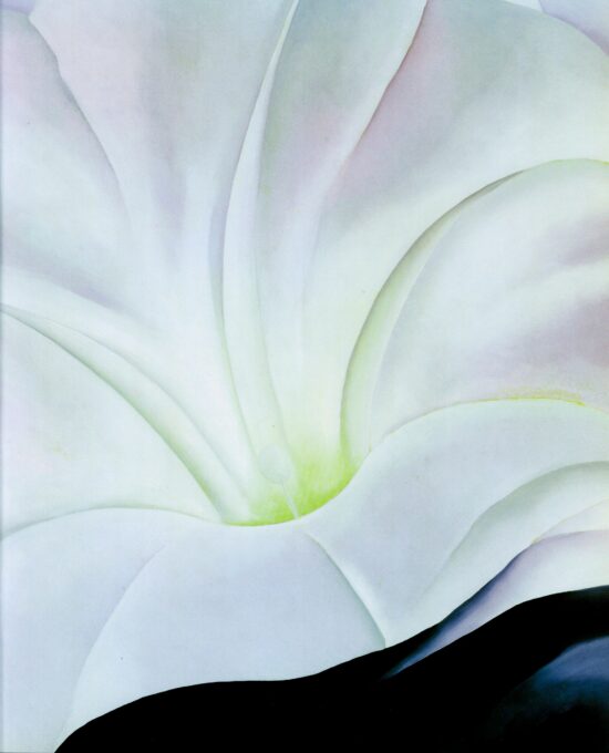 Georgia O’Keeffe print 1926 “Morning-Glory with Black” Original over-size vintage art book page