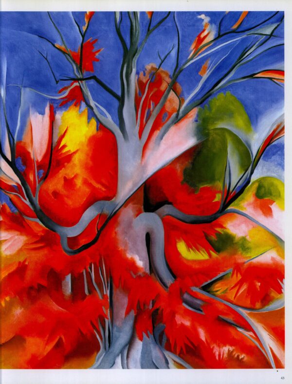 Georgia O'Keeffe print 1927 "Red Maple" Original over-size vintage art book page - Image 3