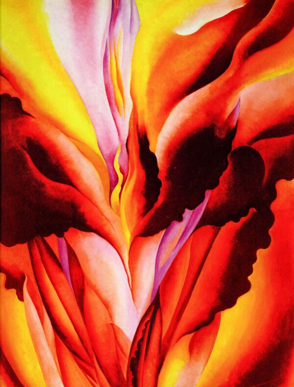 Georgia O'Keeffe print 1924 "Red Canna" Original over-size vintage art book page - Image 2