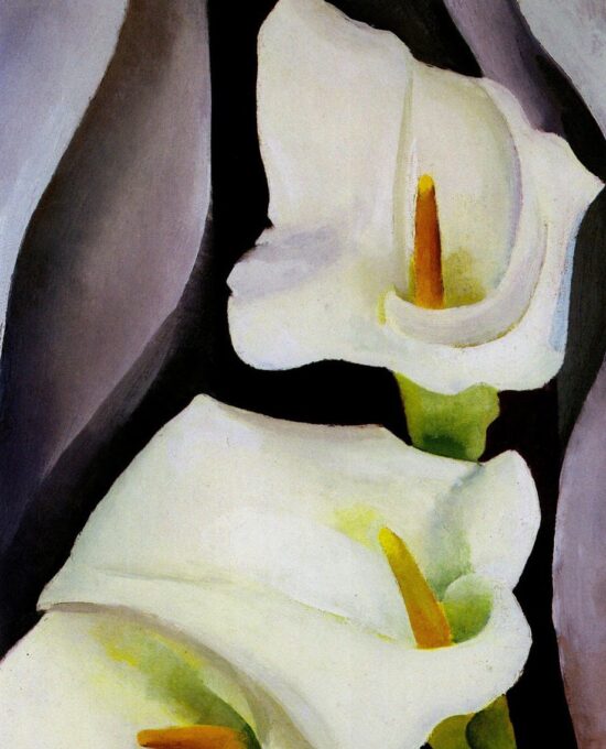 Georgia O’Keeffe print 192 “Calla Lilies” Original vintage art book page