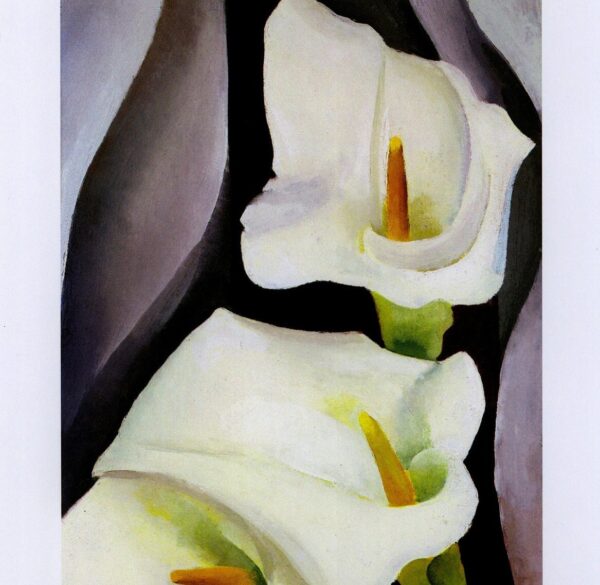 Georgia O'Keeffe print 192 "Calla Lilies" Original vintage art book page