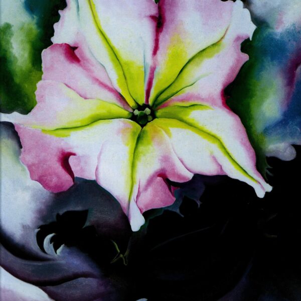 Georgia O'Keeffe print 1924 "Petunia & Coleus" Original vintage art book page