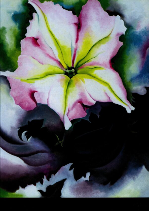 Georgia O'Keeffe print 1924 "Petunia & Coleus" Original vintage art book page - Image 2
