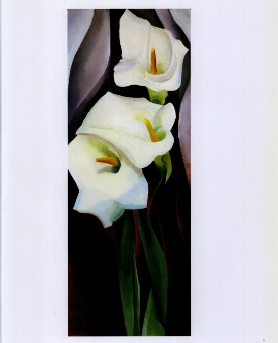 Georgia O’Keeffe print 192 “Calla Lilies” Original vintage art book page