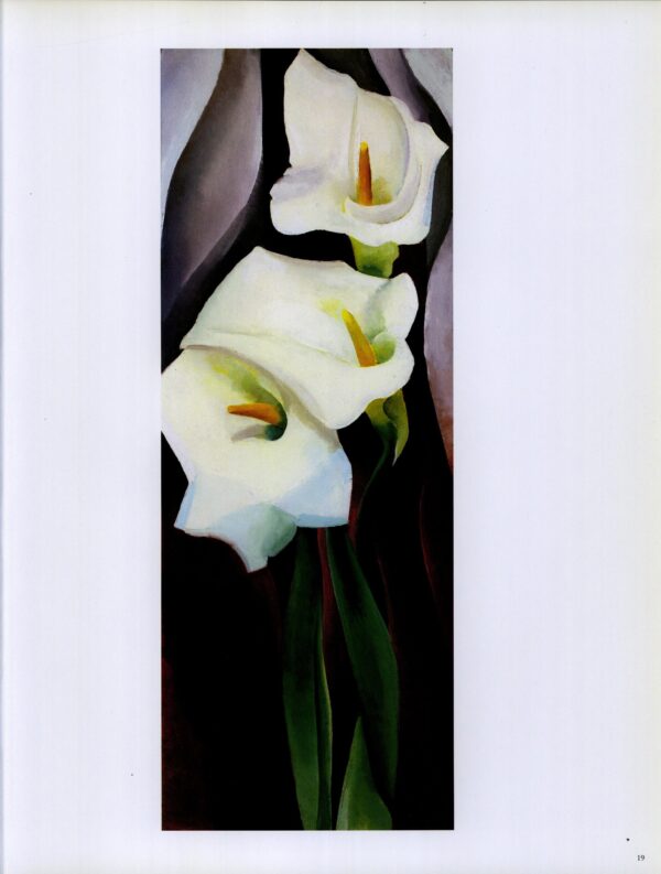 Georgia O'Keeffe print 192 "Calla Lilies" Original vintage art book page - Image 2