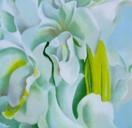 Georgia O'Keeffe print 1926 "White Sweet Peas" Original over-size vintage art book page