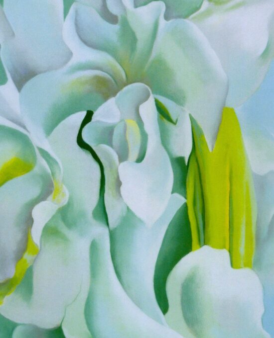 Georgia O’Keeffe print 1926 “White Sweet Peas” Original over-size vintage art book page
