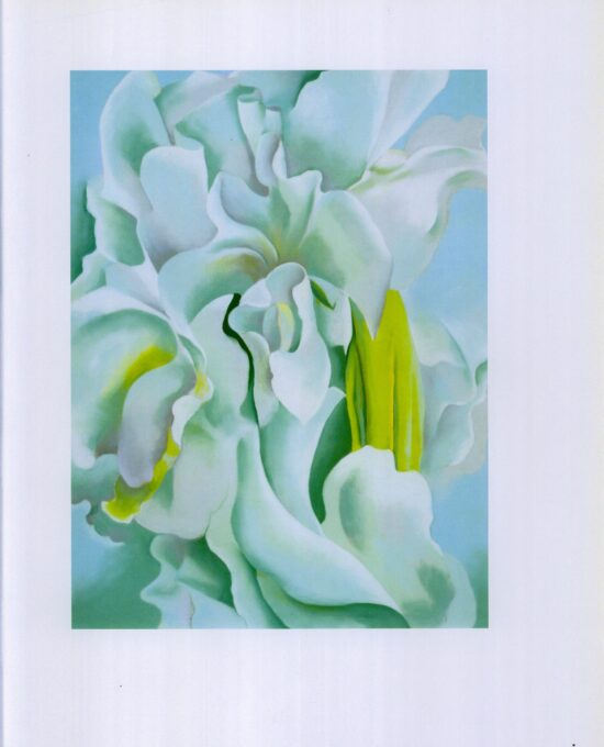 Georgia O’Keeffe print 1926 “White Sweet Peas” Original over-size vintage art book page