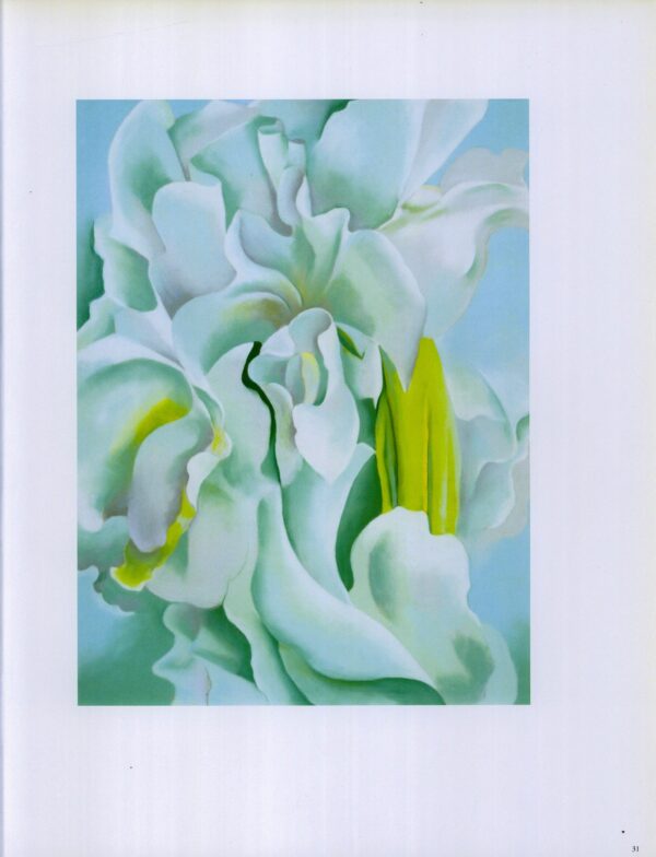 Georgia O'Keeffe print 1926 "White Sweet Peas" Original over-size vintage art book page - Image 2