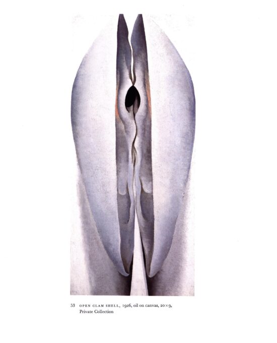 Georgia O’Keeffe vintage art book plate 1926/27 “Open Clam Shell / Black Abstraction” Wall hanging