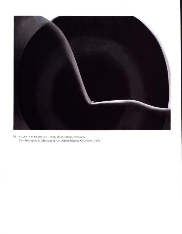 Georgia O'Keeffe vintage art book plate 1926/27 "Open Clam Shell / Black Abstraction" Wall hanging - Image 2