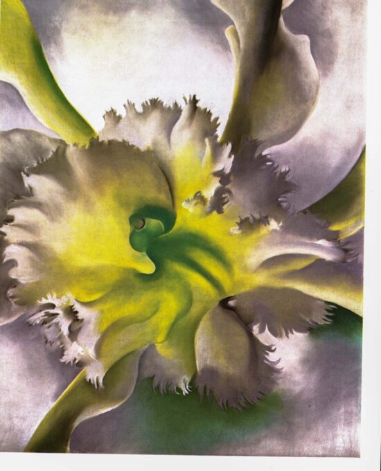 Georgia O’Keeffe Book page print “An Orchid” Original vintage art book page 1941