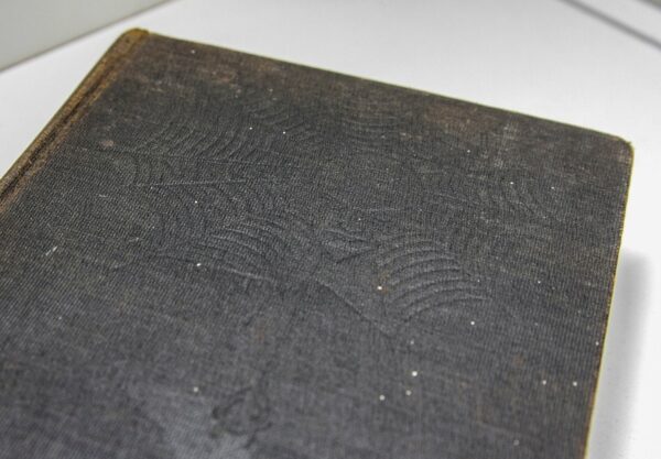 Sax Rohmer "The Bat Flies Low" circa 1935 Vintage treasure hunting mystery novel - Image 2