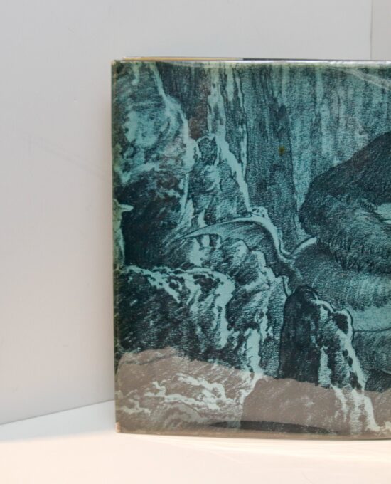 Vintage cinema hardcover “The Making of King Kong” 1975 First edition in original jacket