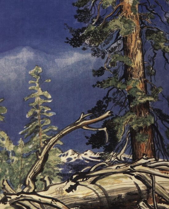 Yosemite Valley “Life and Death, Porcupine Flat” Chiura Obata 1930 Vintage art book page