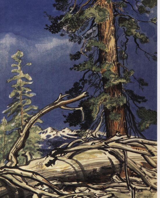 Yosemite Valley “Life and Death, Porcupine Flat” Chiura Obata 1930 Vintage art book page