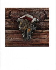 James Bama Western art Still life "Old Buffalo Skull" Some date back to Indian hunts Vintage book print