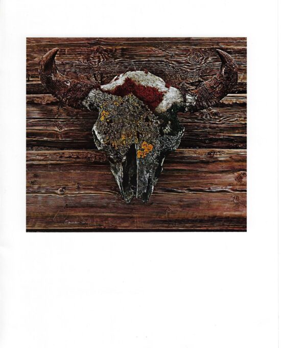 James Bama Western art Still life “Old Buffalo Skull” Some date back to Indian hunts Vintage book print