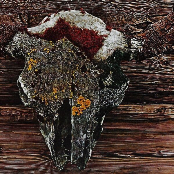 James Bama Western art Still life "Old Buffalo Skull" Some date back to Indian hunts Vintage book print - Image 2