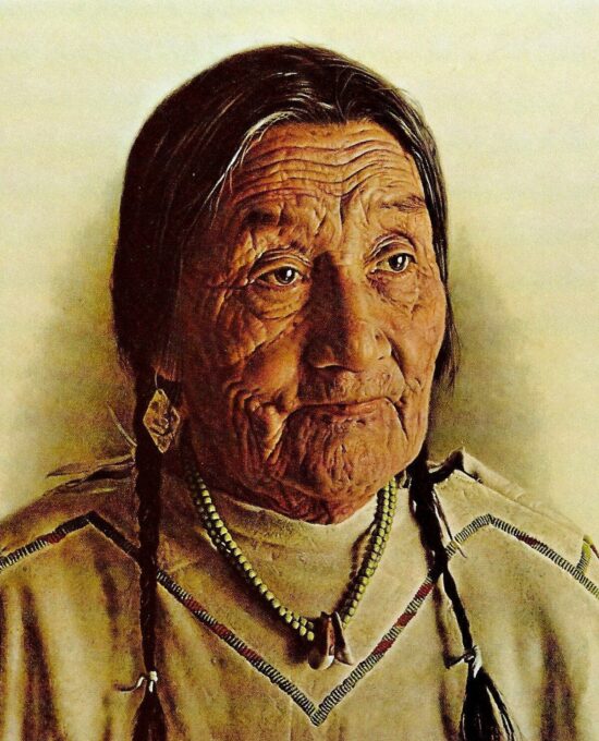 James Bama “Annie Old Crow, classic Crow Indian” 1974 Vintage art
