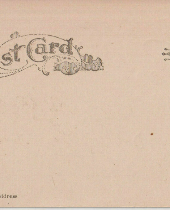 Undivided postcard Wood’s L.A. Hide #7 “I’ll skin out of here soon” [c.1903] A1