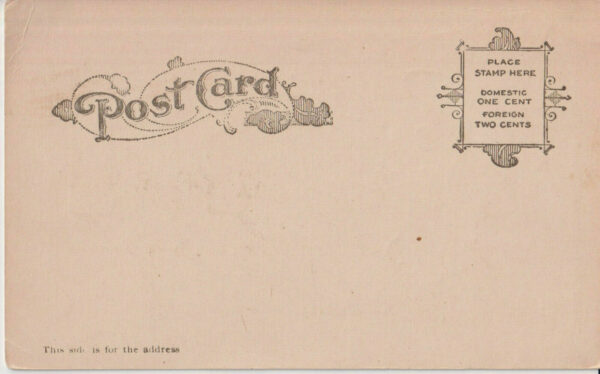 Undivided postcard Wood's L.A. Hide #7 "I'll skin out of here soon" [c.1903] A1 - Image 2
