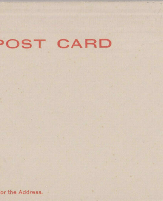 New York City Elevated RR Train 110th Rotograph [c.1905] Postcard Unposted A4