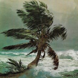 Vintage book page maritime print "Palm and surf" Carl G. Evers In the fringe of a storm on the Florida Keys c.1972