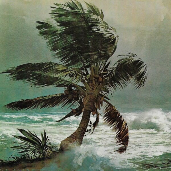 Vintage book page maritime print "Palm and surf" Carl G. Evers In the fringe of a storm on the Florida Keys c.1972